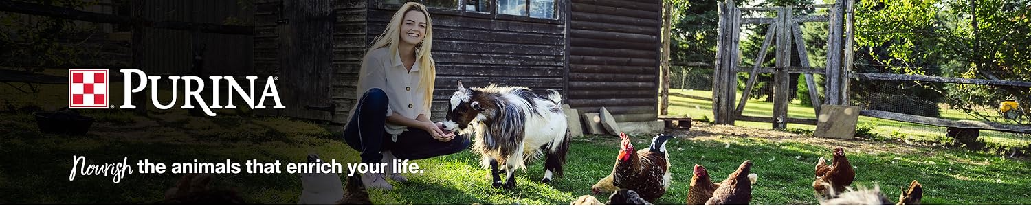 Unlock Your Animal's Full Potential